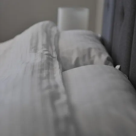 Milmari Premier 47 *